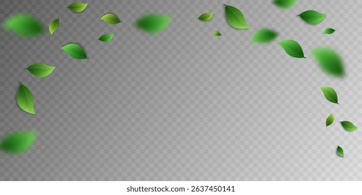 Flying green leaves.Fresh summer plant pattern.Vector illustration.On a transparent background.