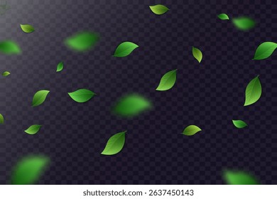 Flying green leaves.Fresh summer plant pattern.Vector illustration.On a transparent background.