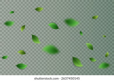 Flying green leaves.Fresh summer plant pattern.Vector illustration.On a transparent background.