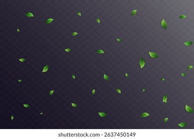 Flying green leaves.Fresh summer plant pattern.Vector illustration.On a transparent background.