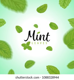 Flying green mint leaves on green background template. Vector set of element for advertising, packaging design of tea products.