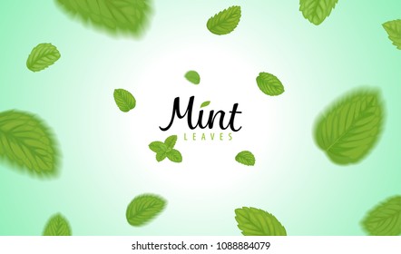 Flying green mint leaves on green background template. Vector set of element for advertising, packaging design of tea products.