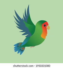 
Flying green peach faced lovebird. The background is light green.