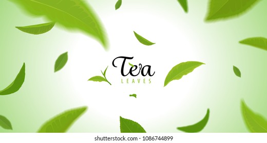 Flying green tea leaves on green background template. Vector set of element for advertising, packaging design of tea products.