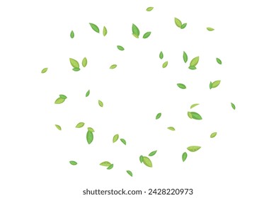 Flying green tea leaves. Vector illustration for cover, banner, poster, card, web and packaging.