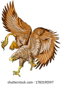 Flying Griffin, griffon, or gryphon. A mythical beast having the body of a lion and the wings and head of an eagle. Vector illustration