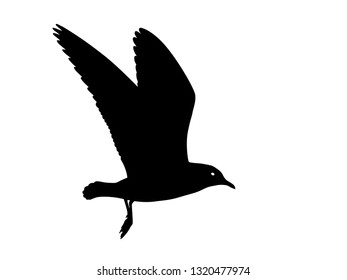 Flying gull vector silhouette isolated on white background