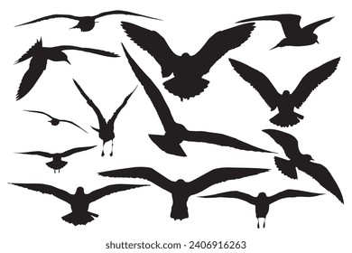 Gaviotas voladoras. Imágenes vectoriales. Fondo blanco. 