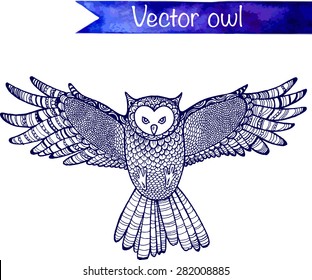 Flying hand drawn vector owl. 