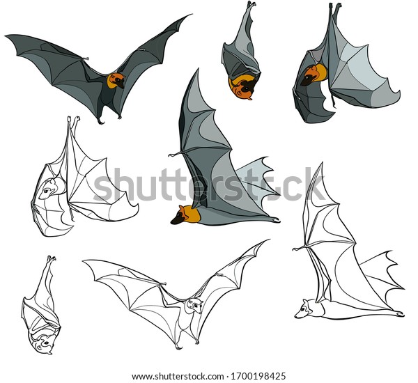 Flying and hanging bats in different poses,\
vector graphics