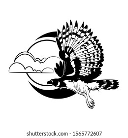 Flying Harpy eagle on background with crescent and clouds. Graphic drawing. Vector.