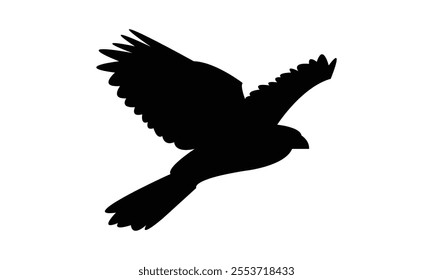 Flying Hawk Bird Silhouette Design  And Vector Illustration. 