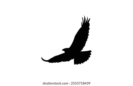 Flying Hawk Bird Silhouette Design  And Vector Illustration. 