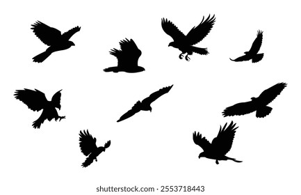 Flying Hawk Bird Silhouette Design  And Vector Illustration. 