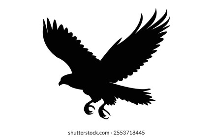Flying Hawk Bird Silhouette Design  And Vector Illustration. 