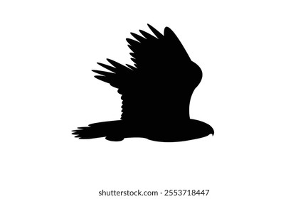 Flying Hawk Bird Silhouette Design  And Vector Illustration. 