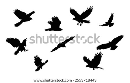 Flying Hawk Bird Silhouette Design  And Vector Illustration. 
