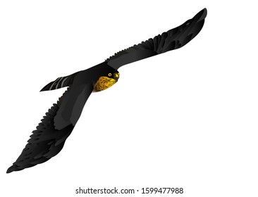 Flying hawk. Vector image. White background.