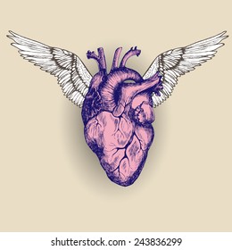 Flying heart. Vector illustration.