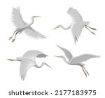 Flying heron. White crane drawing, japanese stork flight, cranes birds symbols isolated, oriental asian egret vector graphics