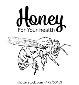 Flying Honey Bee, Sketch Style Vector Illustration Isolated On White Background. Realistic Drawing Of A Bumble Bee Flying To The Hive, Apiary Icon