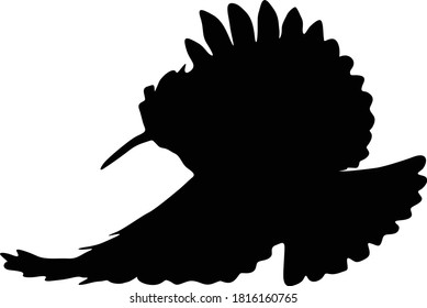 Flying Hoopoe Bird (Upupa) On a Side View Silhouette Found In Map Of  Europa, Asia, and Africa. Good To Use For Element Print Book, Animal Book and Animal Content