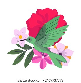 Ave de colibrí volador con un largo y turquesa plumaje. Caricatura hermosa colibri exótica pequeño ave silvestre con flores silvestres florecientes. Ilustración vectorial de la fauna y flora tropicales