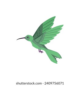 Ave de colibrí volador con un largo y turquesa plumaje. Caricatura hermosa colibri exótica pequeña ave silvestre de la selva tropical. Ilustración vectorial de animales de fauna tropical aislados en blanco