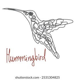 Flying hummingbird bird. Tropical small exotic bird in line art style. Vector isolated outline illustration.