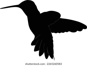 flying hummingbird black silhouette vector