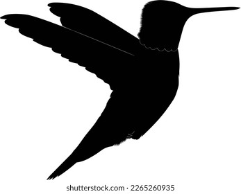 flying hummingbird black silhouette vector