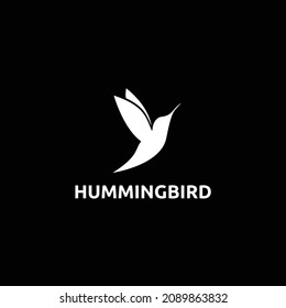 flying hummingbird colibri  logo design vector