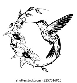 Flying Hummingbird and flowers. nice drawing and illustration for print, tattoo and etc.