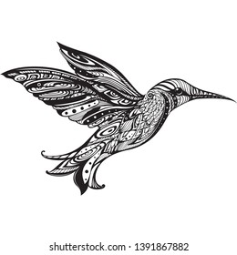 Flying hummingbird. Hand drawn illustration.