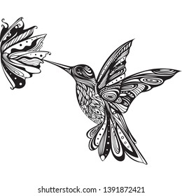 
Flying hummingbird. Hand drawn illustration.Flowers.