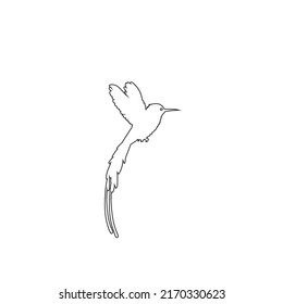Flying hummingbird line icon flat sign vector