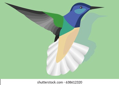 Flying hummingbird on green background