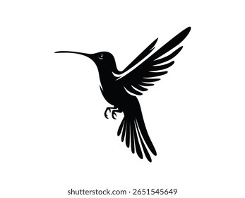 flying hummingbird on silhouette, flying bird