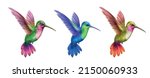 Flying hummingbird realistic set with beautiful colibri symbols isolated vector illustration