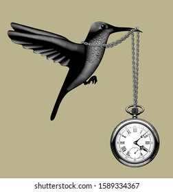 Flying hummingbird with a retro pocket watch in the beak. Vintage stylized drawing. Vector Illustration