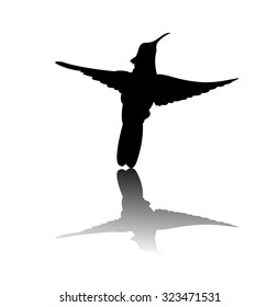 Flying Hummingbird silhouette