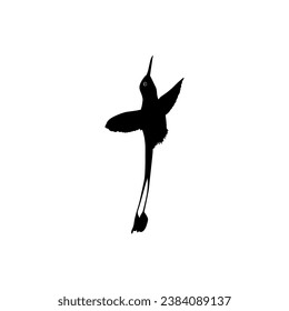 Flying Hummingbird Silhouette, can use Art Illustration, Website, Logo Gram, Pictogram or Graphic Design Element. Vector Illustration