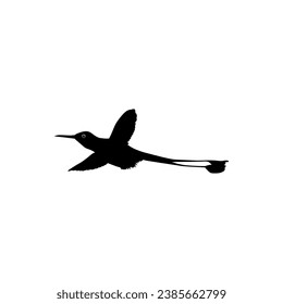 Flying Hummingbird Silhouette, can use Art Illustration, Website, Logo Gram, Pictogram or Graphic Design Element. Vector Illustration