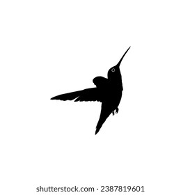 Flying Hummingbird Silhouette, can use Art Illustration, Website, Logo Gram, Pictogram or Graphic Design Element. Vector Illustration