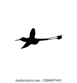 Flying Hummingbird Silhouette, can use Art Illustration, Website, Logo Gram, Pictogram or Graphic Design Element. Vector Illustration