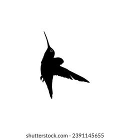 Flying Hummingbird Silhouette, can use Art Illustration, Website, Logo Gram, Pictogram or Graphic Design Element. Vector Illustration