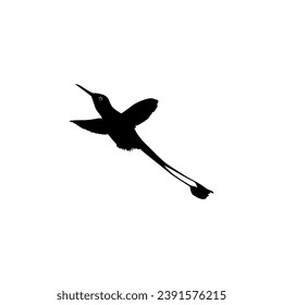 Flying Hummingbird Silhouette, can use Art Illustration, Website, Logo Gram, Pictogram or Graphic Design Element. Vector Illustration