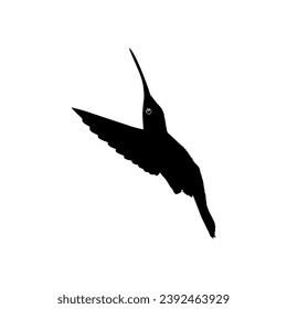 Flying Hummingbird Silhouette, can use Art Illustration, Website, Logo Gram, Pictogram or Graphic Design Element. Vector Illustration