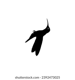 Flying Hummingbird Silhouette, can use Art Illustration, Website, Logo Gram, Pictogram or Graphic Design Element. Vector Illustration