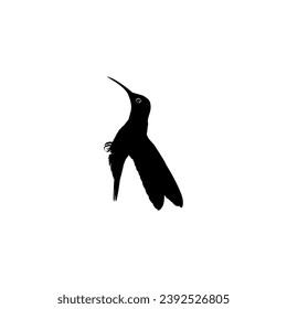 Flying Hummingbird Silhouette, can use Art Illustration, Website, Logo Gram, Pictogram or Graphic Design Element. Vector Illustration